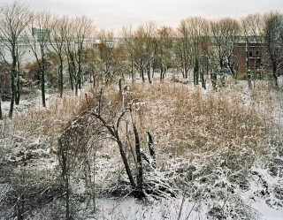 Illustration for article titled Exploring the Decaying Ruins of Brother Island, NYC's Last Unknown Place